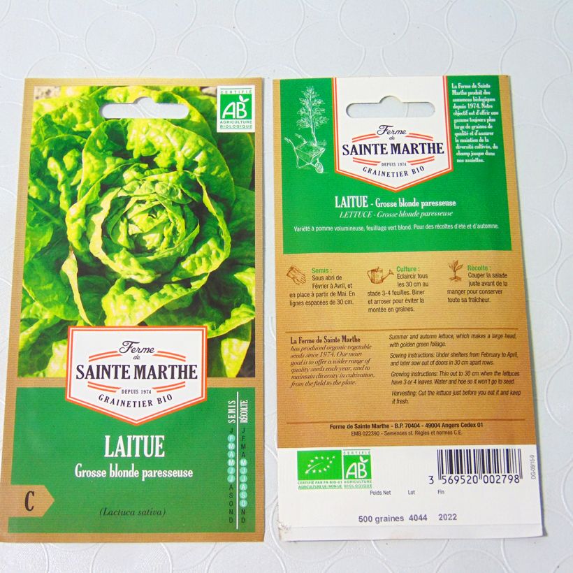 Example of Butterhead Lettuce Fat Lazy Blonde - Ferme de Sainte Marthe seeds per pack of 500 seeds specimen as delivered