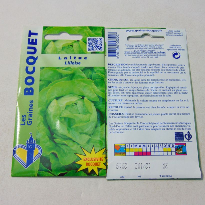Example of Butterhead Lettuce Lilloise - Lactuca sativa per pack of 1600 seeds (2g) specimen as delivered