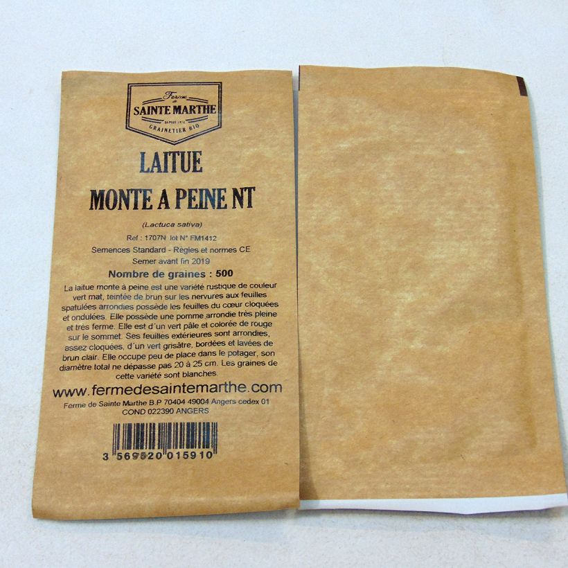 Example of Butterhead Lettuce Monte à Peine - Ferme de Sainte Marthe untreated seeds - Lactuca sativa per pack of 500 seeds specimen as delivered