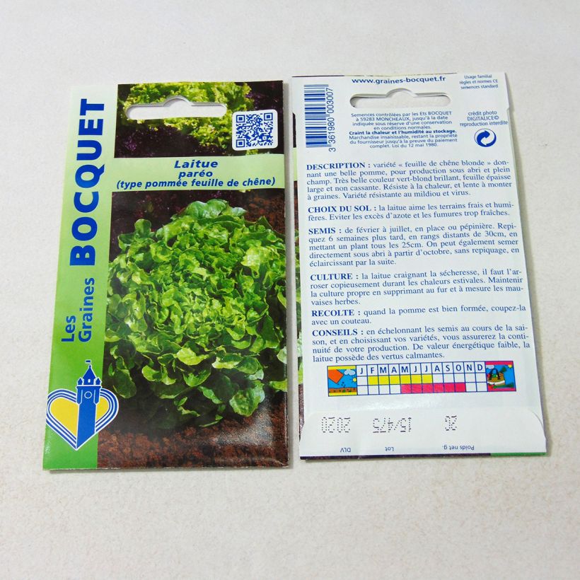 Example of Oak Leaf Lettuce Panisse - Lactuca sativa per 2 g seed pack specimen as delivered