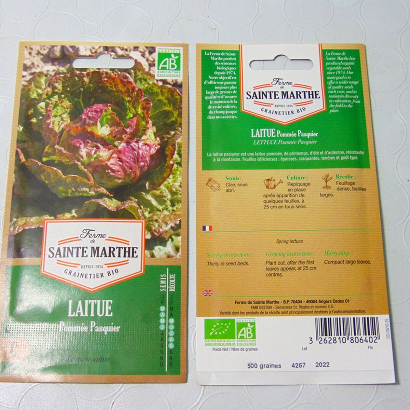Example of Batavian Lettuce Pasquier - Ferme de Sainte Marthe seeds specimen as delivered
