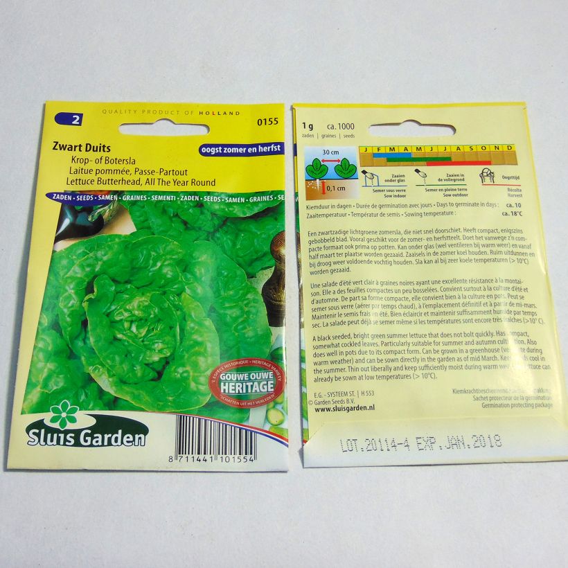 Example of Lettuce Passe-Partout - Lactuca sativa per pack of 1000 seeds (1g) specimen as delivered