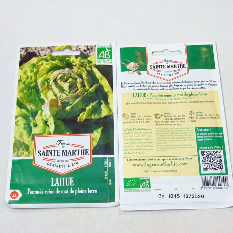 Example of Butterhead Lettuce May Queen - Ferme de Sainte Marthe seeds per pack of 2500 seeds (3g) specimen as delivered
