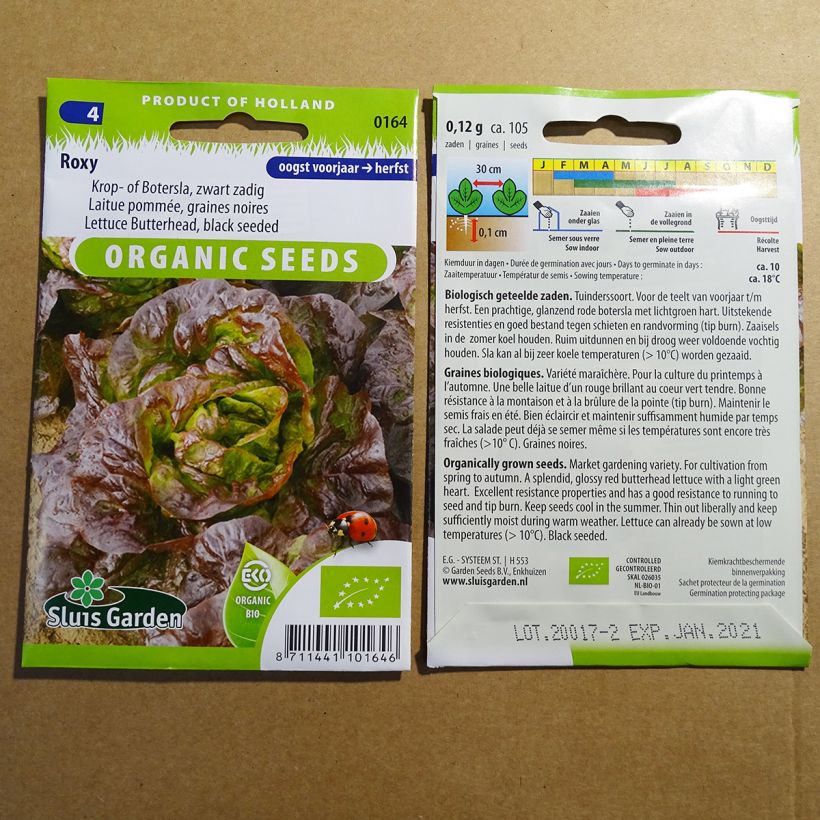 Example of Butterhead Lettuce Roxy per pack of 105 seeds (0.12g) specimen as delivered