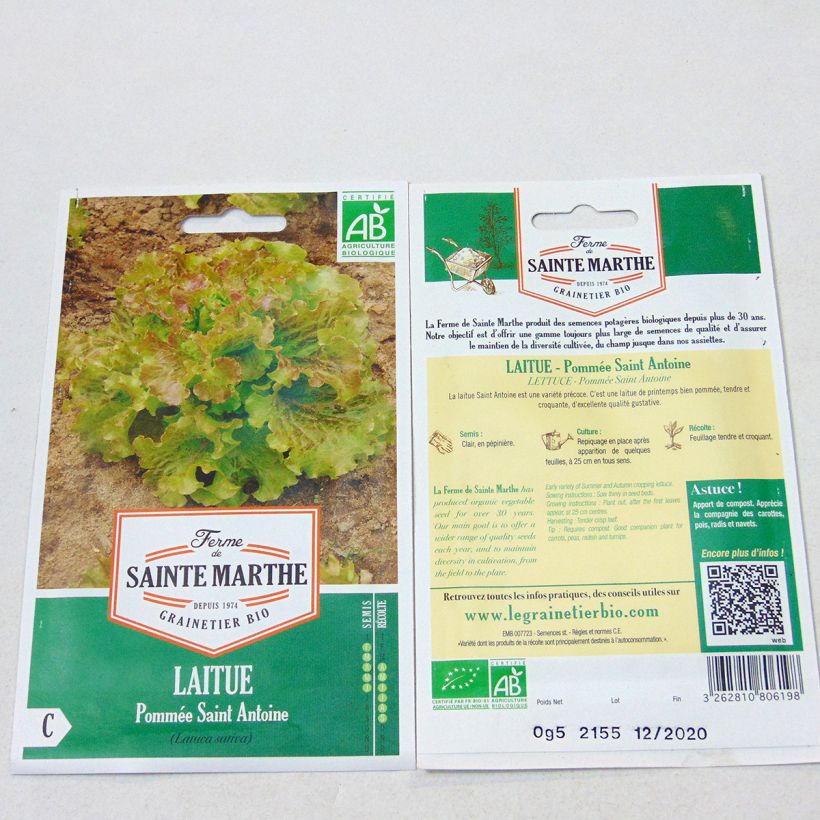 Example of Butterhead Lettuce Saint Antoine - Ferme de Sainte Marthe seeds per pack of 500 seeds specimen as delivered