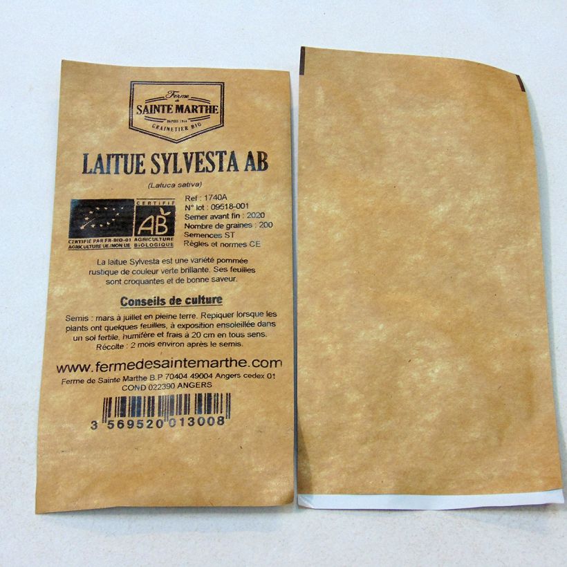 Example of Sylvesta Organic Butterhead Lettuce - Sainte Marthe Farm per pack of 200 seeds specimen as delivered