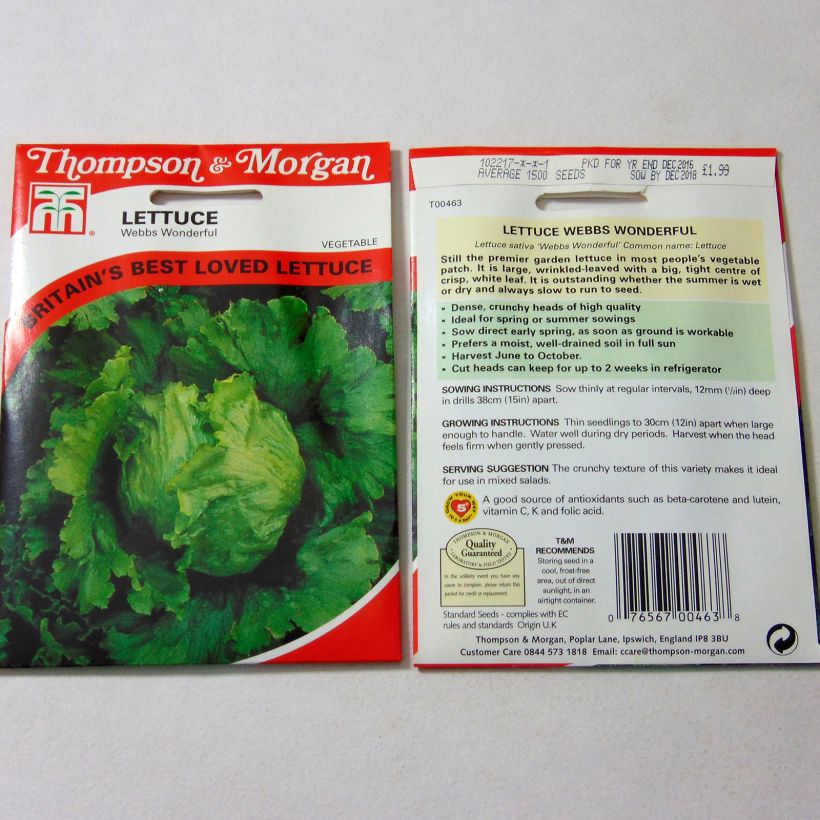 Example of Butterhead Lettuce Webbs Wonderful - Lactuca sativa per pack of 1500 seeds specimen as delivered