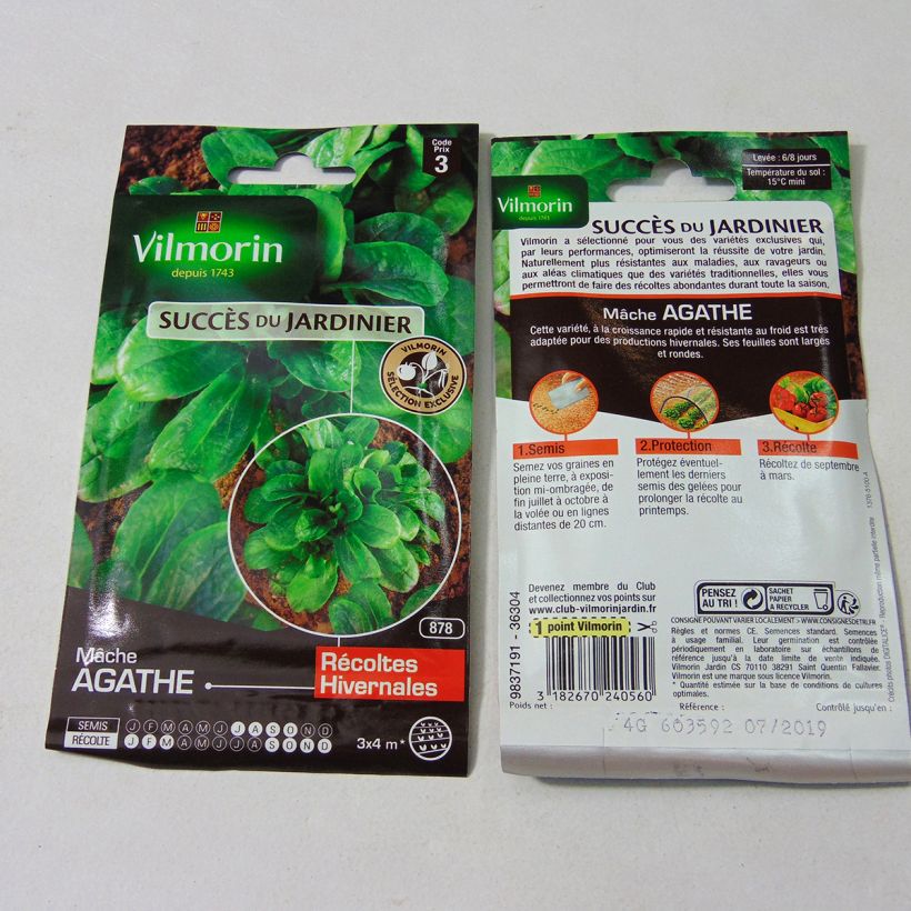Example of Lambs Lettuce Agathe - Vilmorin Seeds per pack of 2600 seeds (4g) specimen as delivered