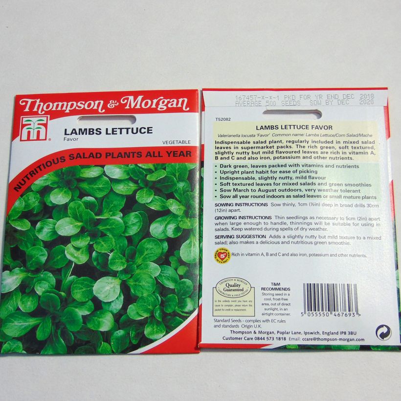 Example of Lambs Lettuce Favor - Corn Salad specimen as delivered