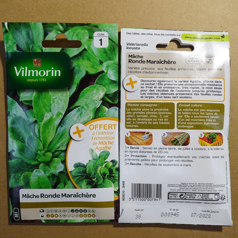 Example of Lambs Lettuce Ronde Maraîchère + sample Agathe - Vilmorin Seeds per pack of 1900 seeds (3g) specimen as delivered