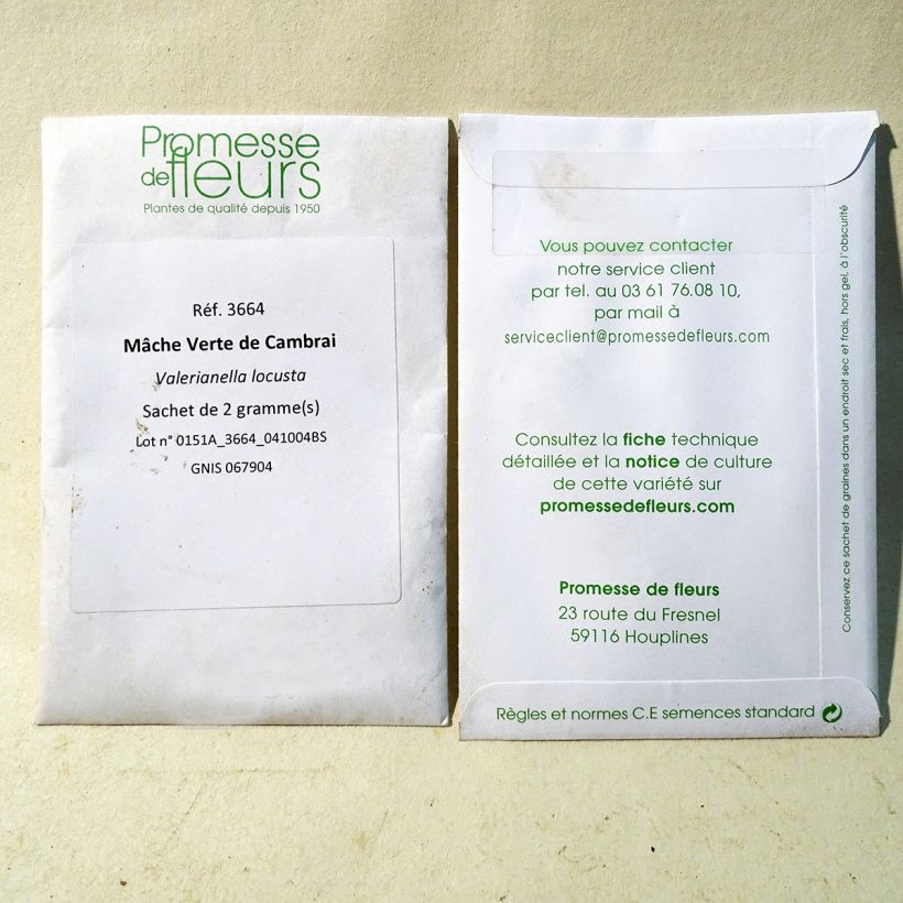 Example of Corn salad Verte de Cambrai per pack of 1300 seeds (2g) specimen as delivered