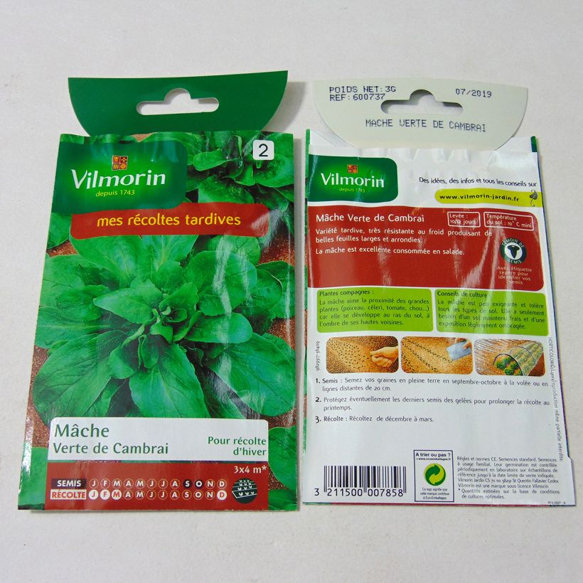Example of Lambs Lettuce Verte de Cambrai - Vilmorin Seeds per pack of 1900 seeds (3g) specimen as delivered