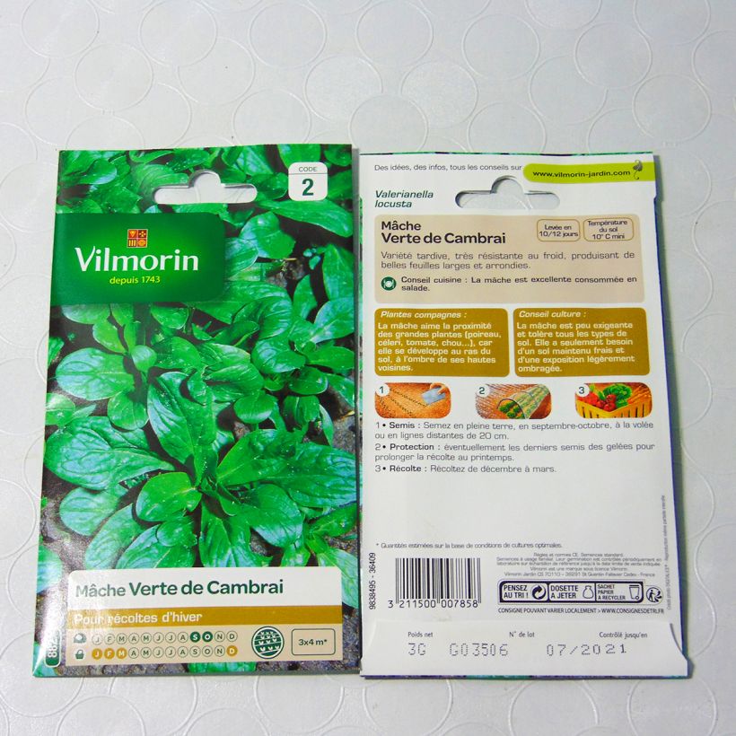 Example of Lambs Lettuce Coquille de Louviers - Vilmorin Seeds per pack of 3000 seeds (3g) specimen as delivered