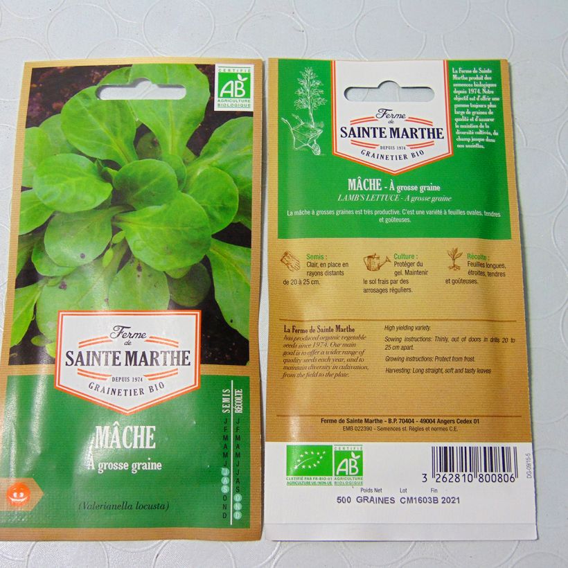 Example of Large-seeded Lambs Lettuce - Ferme de Sainte Marthe Seeds per pack of 300 seeds specimen as delivered