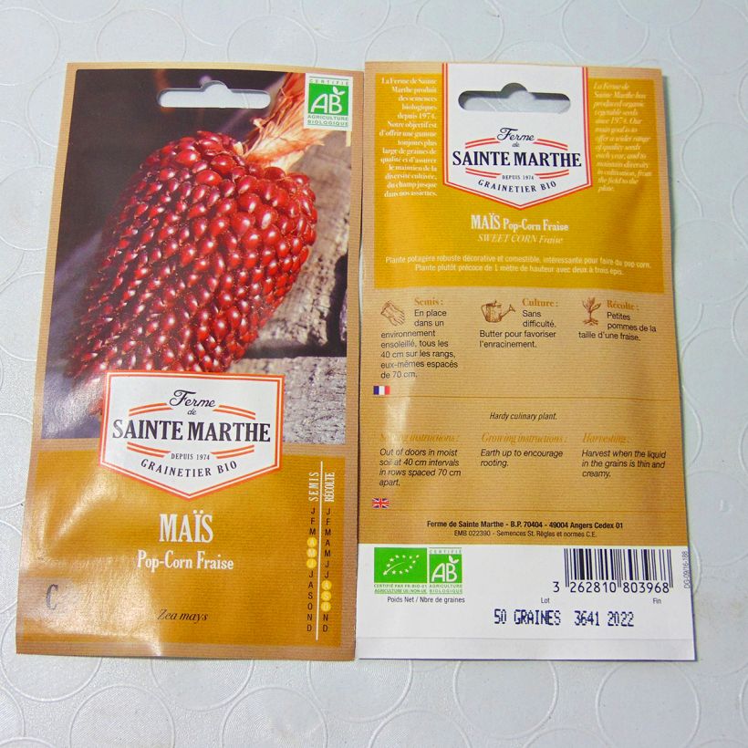 Example of Corn Strawberry Popcorn - Ferme de Sainte Marthe Seeds per pack of 15 seeds (4g) specimen as delivered