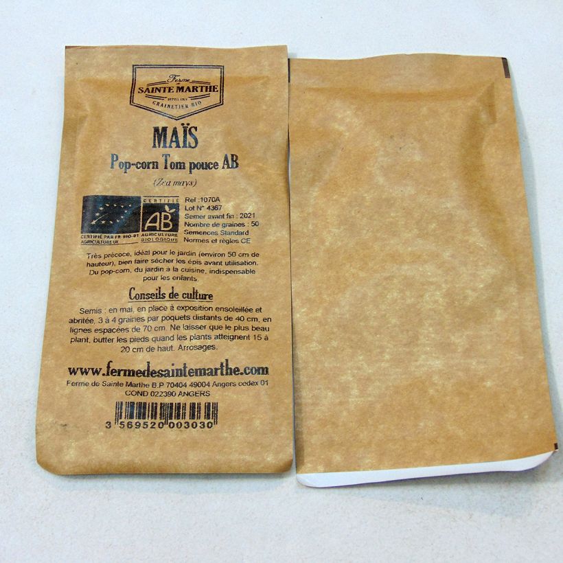 Example of Corn Tom Thumb Popcorn - Ferme de Sainte Marthe Seeds per pack of 50 seeds (4g) specimen as delivered