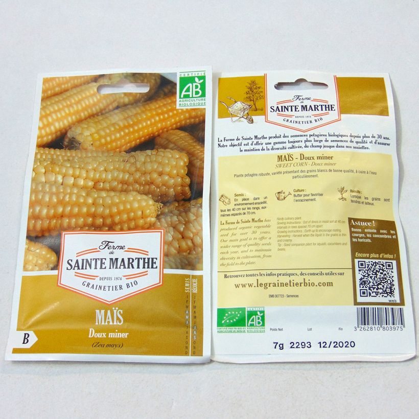 Example of Sweet Corn Miner - Ferme de Sainte Marthe Seeds per pack of 50 seeds (7g) specimen as delivered