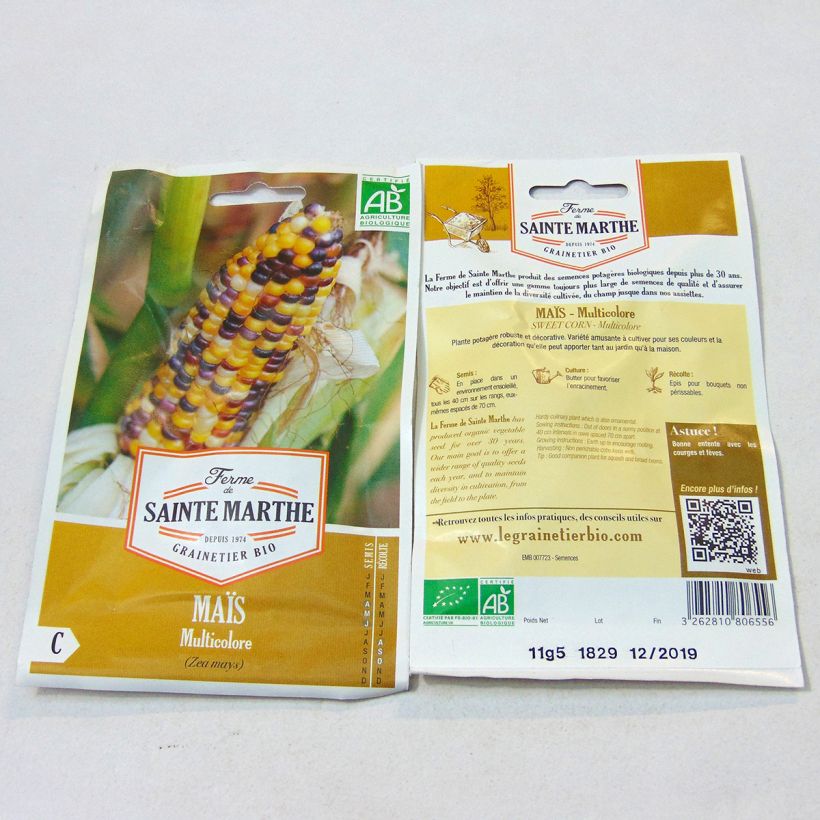Example of Organic Multicoloured Maize - Ferme de Sainte Marthe seeds seeds per pack of 50 seeds (11g) specimen as delivered
