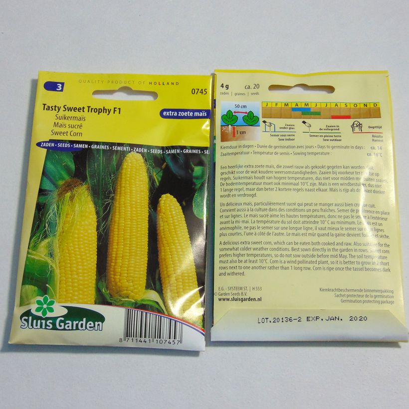 Example of Zea mays Tasty sweet Trophy F1 specimen as delivered