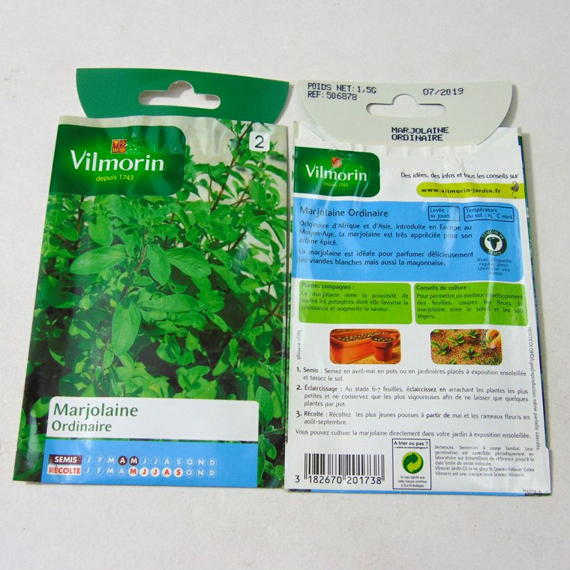 Example of Common Marjoram - Vilmorin seeds seeds per pack of 12000 seeds (1g) specimen as delivered