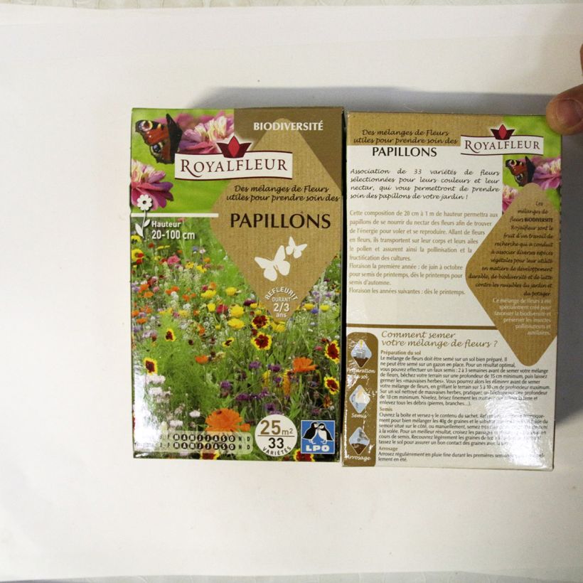 Example of Butterfly Attracting Mix - Box for 25m2 per 40 g seed pack specimen as delivered