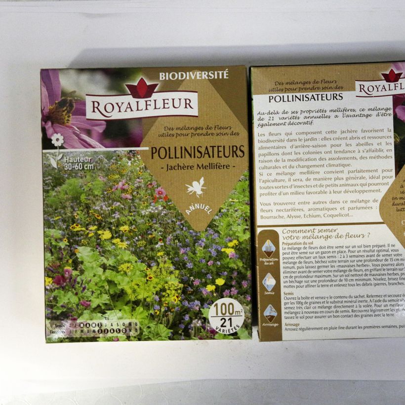 Example of Mix to attract pollinators - Box for 100m2. per pack of 100 seeds specimen as delivered