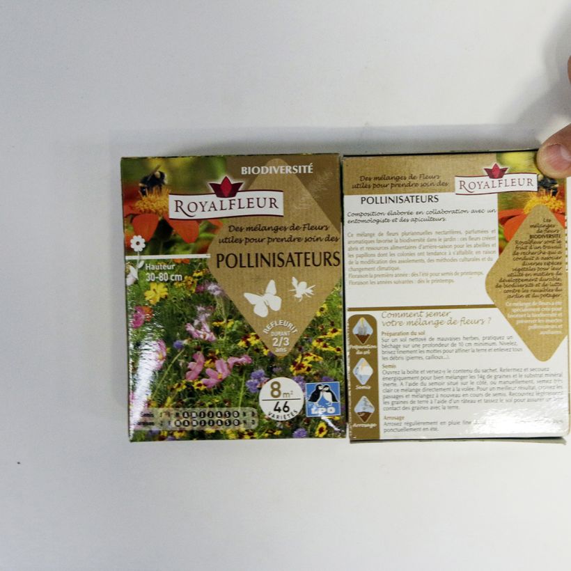 Example of Mix for attracting pollinators - Box for 8m2 per 14 g seed pack specimen as delivered