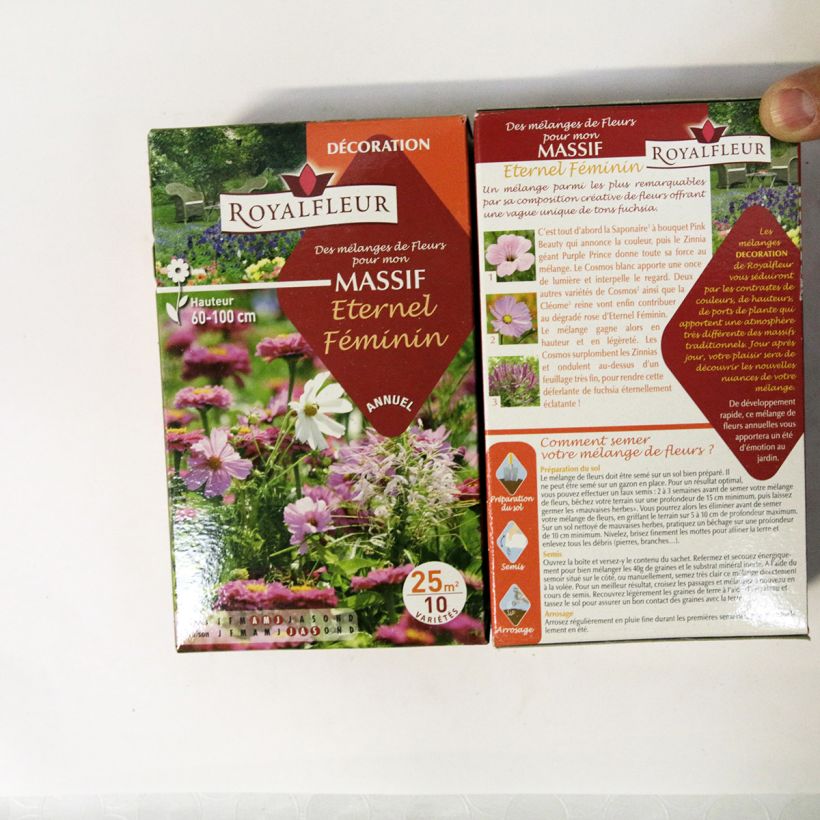 Example of Eternel féminin flowerbed mix - Box for 25m2 specimen as delivered