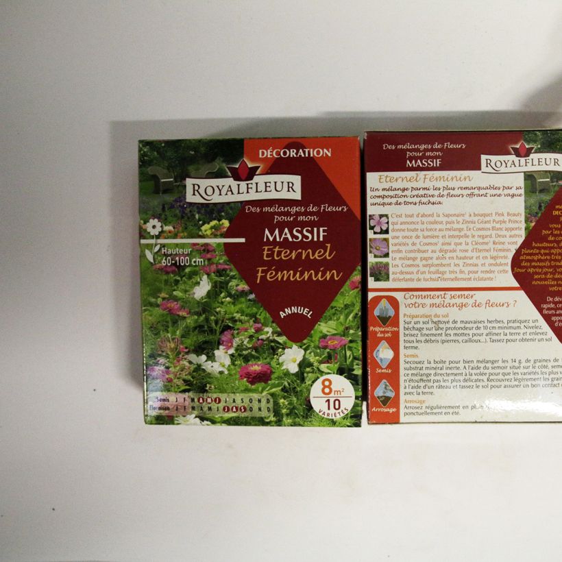 Example of Eternel féminin flowerbed mix - Box for 8m2 per 14 g seed pack specimen as delivered