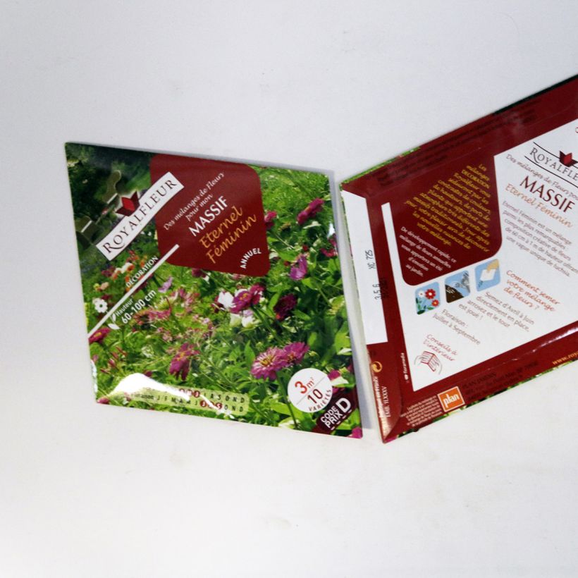 Example of Eternel féminin flower mix - Packet to cover 3m2 per 3.5 g seed pack specimen as delivered
