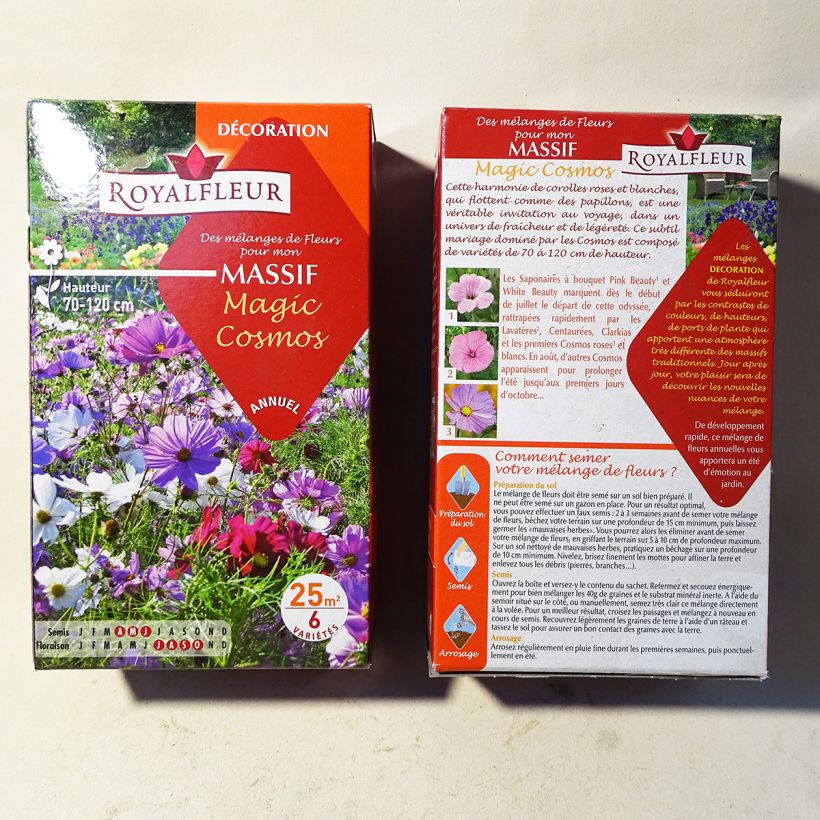 Example of Magic Cosmos Mixed Border Blend - Box for 25m2 per 40 g seed pack specimen as delivered