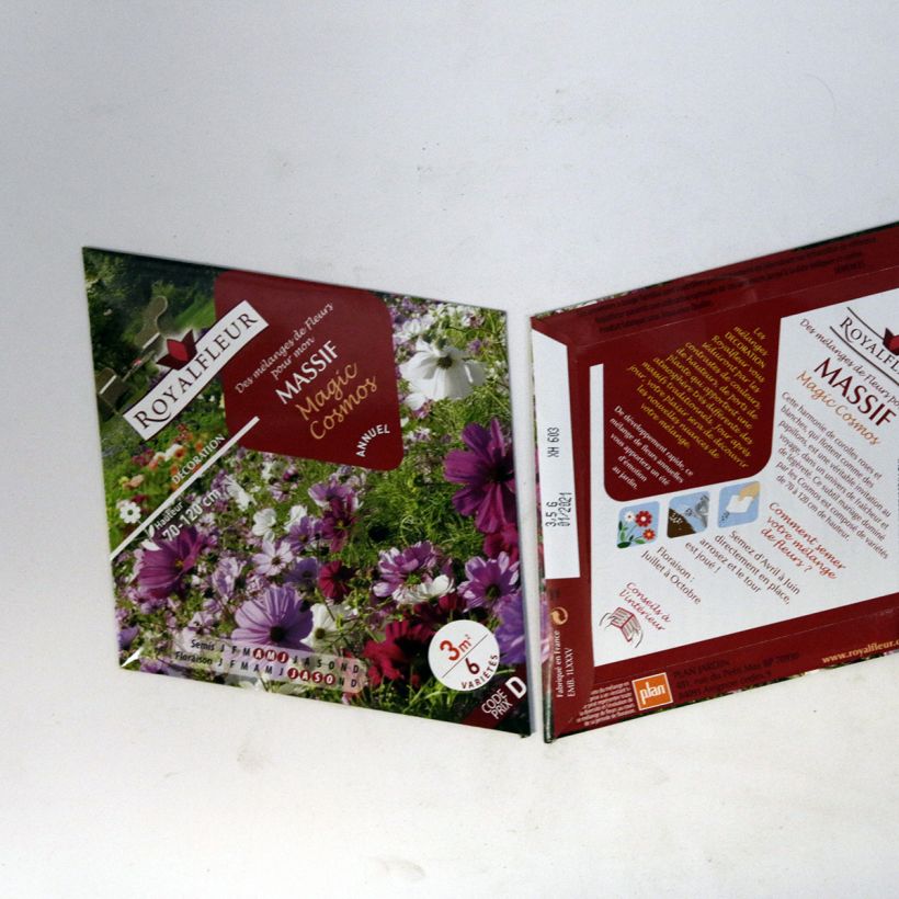 Example of Magic Cosmos Mixed Border Blend - Packet for 3m2 per 3.5 g seed pack specimen as delivered