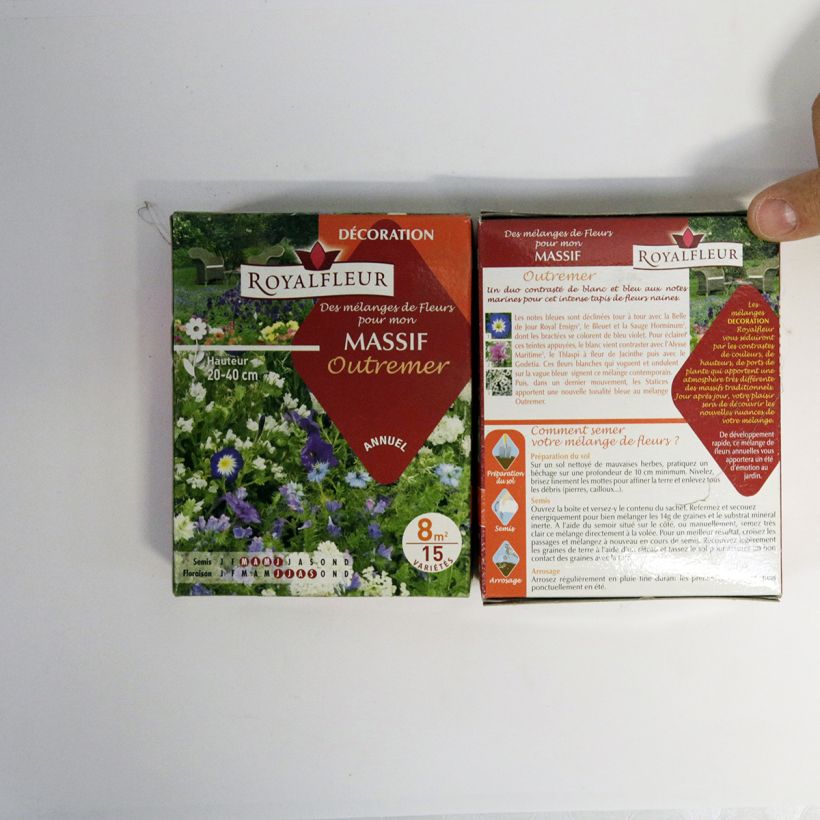 Example of Ultramarine flowerbed mix - box for 8m2 per 14 g seed pack specimen as delivered