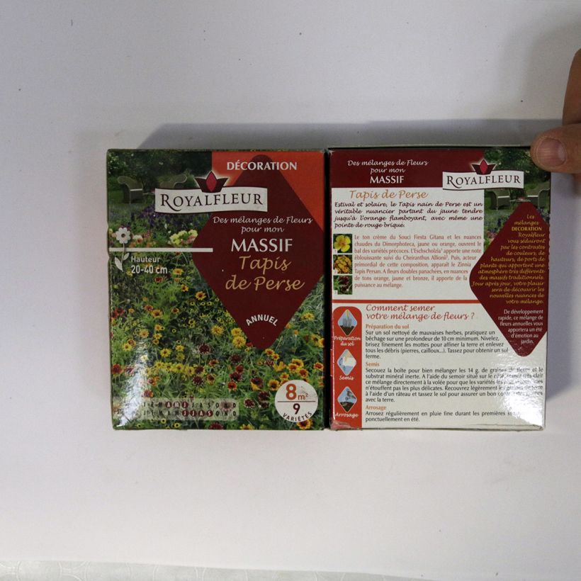 Example of Tapis de Perse Flowerbed Mix - Box for 8m2 per 14 g seed pack specimen as delivered