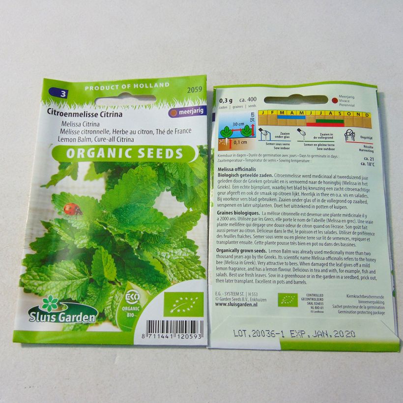 Example of Oragnic Melissa officinalis  per pack of 1000 seeds (0,6g) specimen as delivered