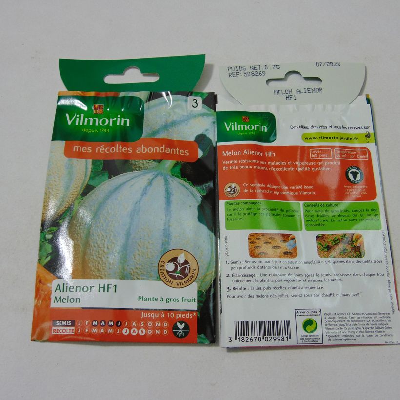 Example of Melon Alienor - Cucumis melo per pack of 21 seeds (0.7g) specimen as delivered
