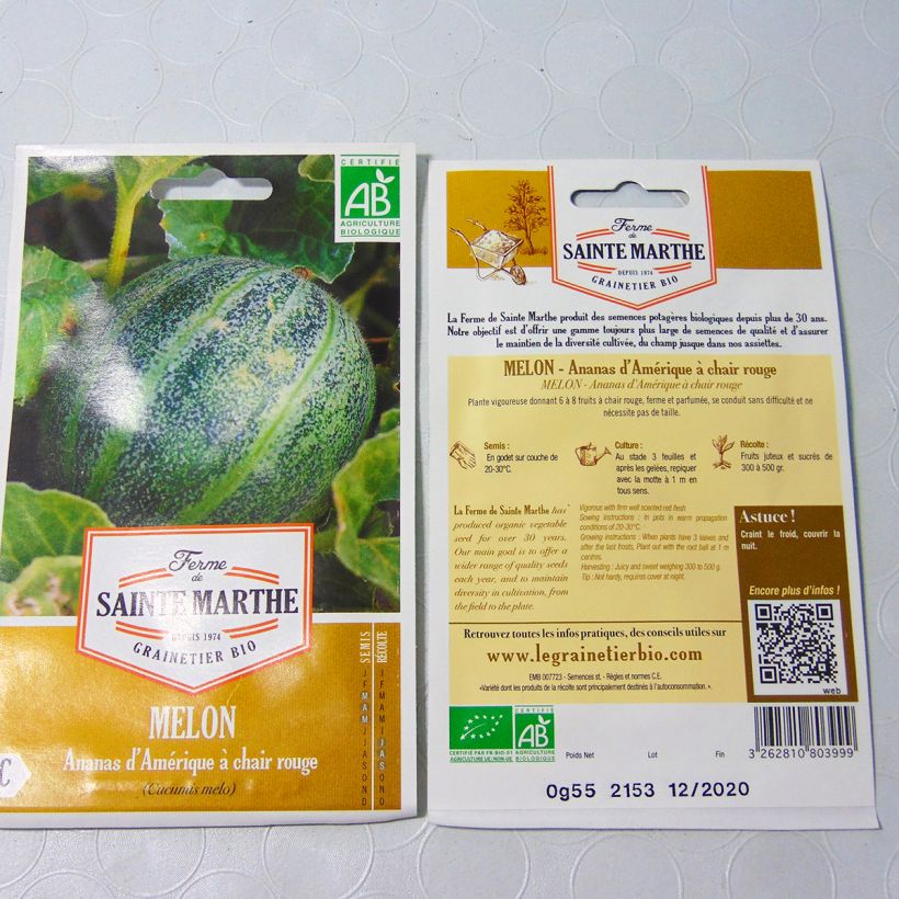 Example of Cucumis melo American Pineapple per pack of 15 seeds specimen as delivered