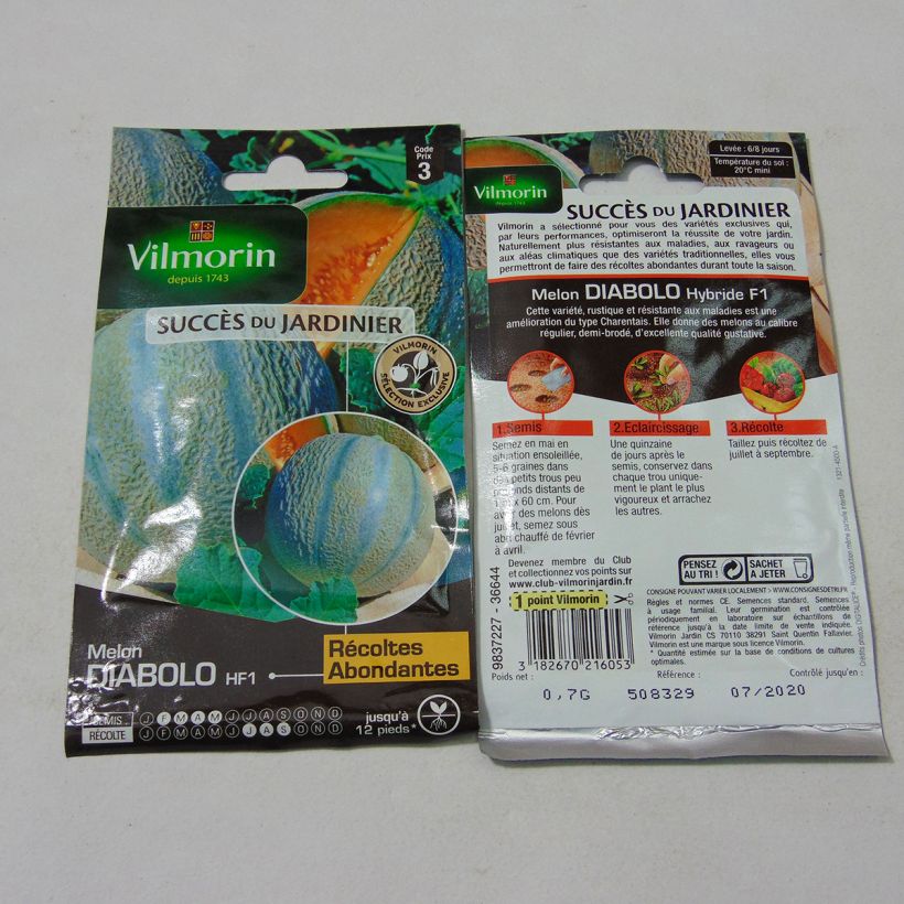 Example of Charentais Melon Diabolo F1 - Vilmorin Seeds per pack of 21 seeds (0.7g) specimen as delivered