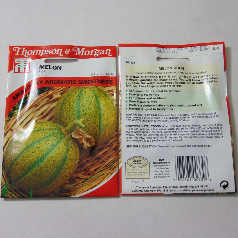Example of Melon Ogen - Cucumis melo per pack of 15 seeds specimen as delivered
