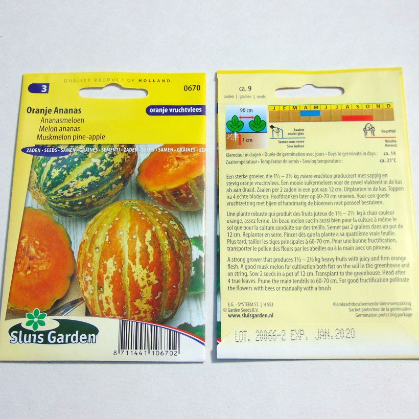 Example of Cucumis melo Orange Pineapple per pack of 9 seeds specimen as delivered