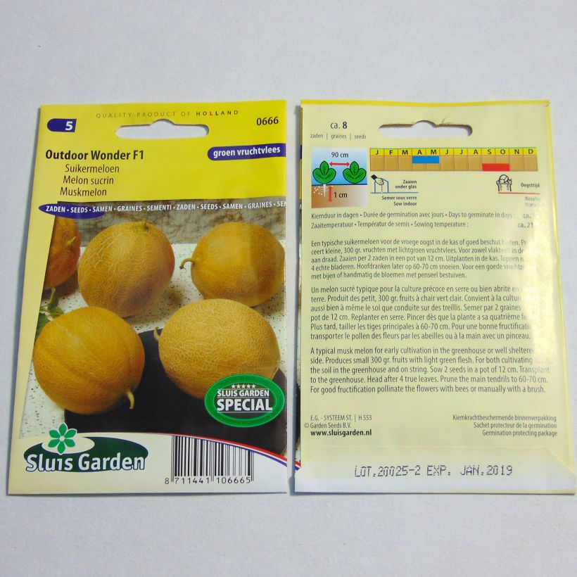 Example of Cucumis melo Outdoor Wonder F1 per pack of 8 seeds specimen as delivered
