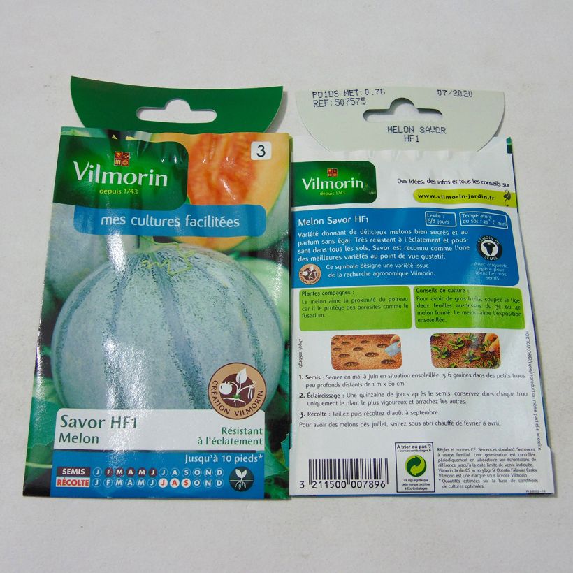 Example of Charentais Melon Savor F1 - Vilmorin Seeds per pack of 21 seeds (0.7g) specimen as delivered