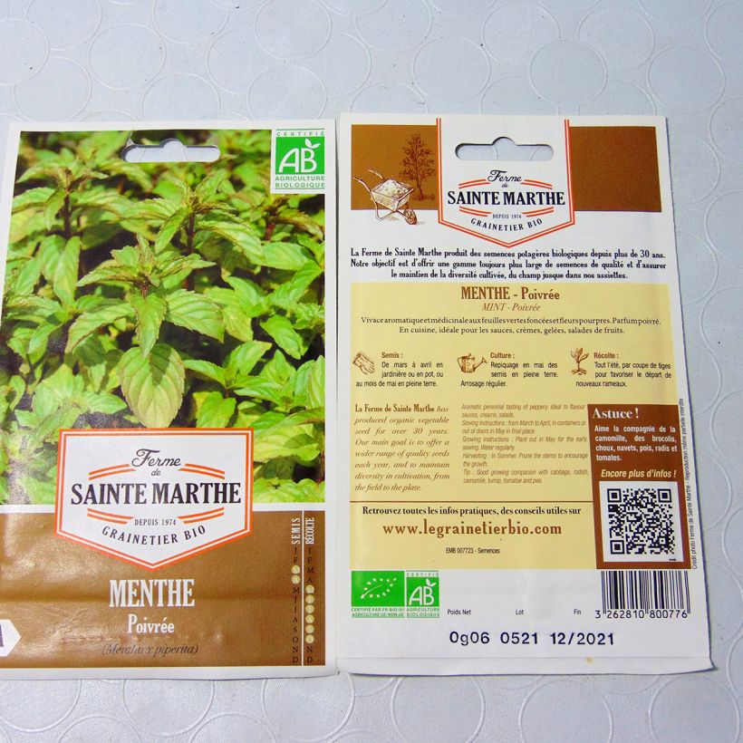 Example of Organic Mentha piperita per pack of 1500 seeds (0,1g) specimen as delivered