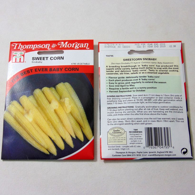 Example of Mini sweetcorn Snobaby - Zea mays per pack of 30 seeds specimen as delivered