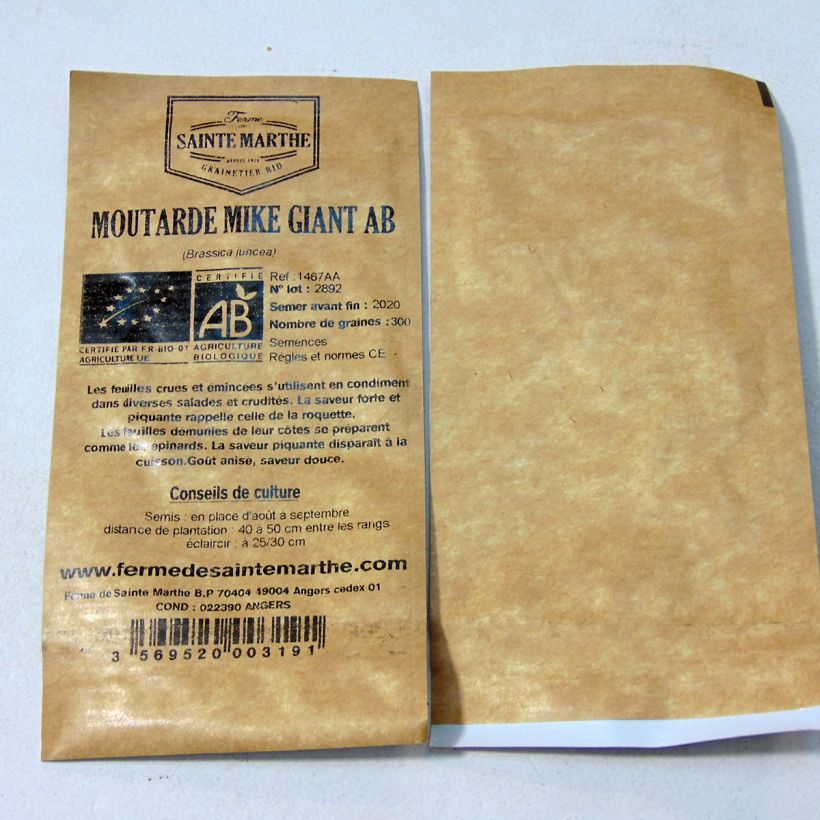 Example of Organic Mike Giant Mustard seeds - Ferme de Sainte Marthe seeds per pack of 300 seeds specimen as delivered