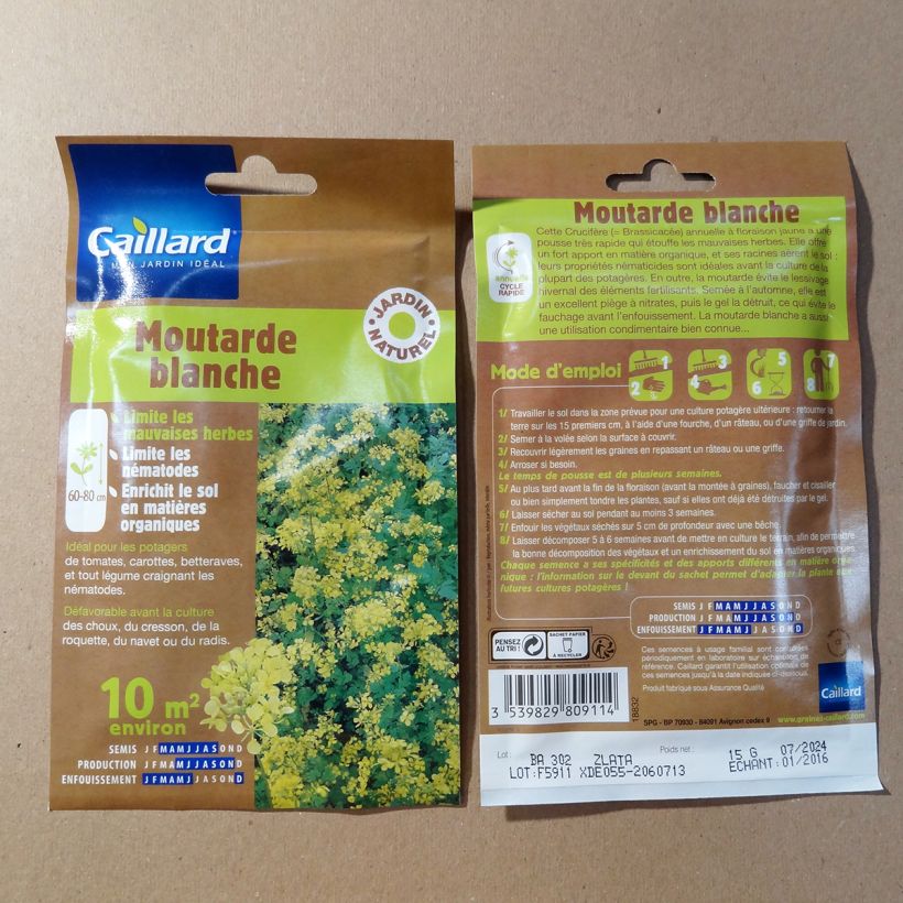 Example of White Mustard - Green Manure - Box 10 m² specimen as delivered