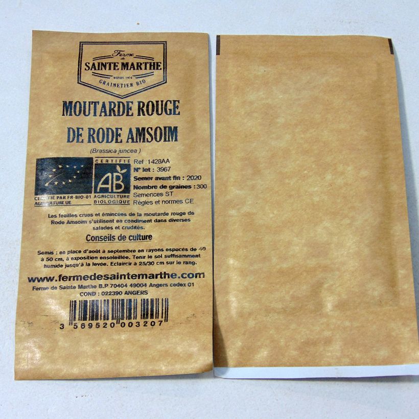 Example of Organic Rode Amsoïm Red Mustard seeds - Ferme de Sainte Marthe seeds - Brassica juncea per pack of 300 seeds specimen as delivered