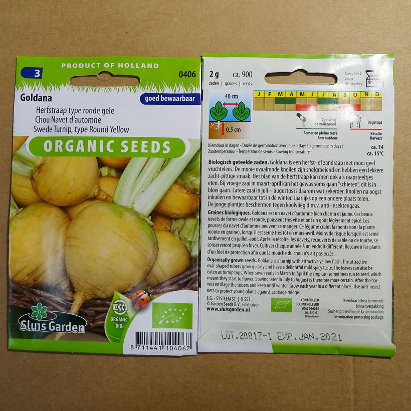 Example of Turnip Goldana per pack of 900 seeds (0.2g) specimen as delivered