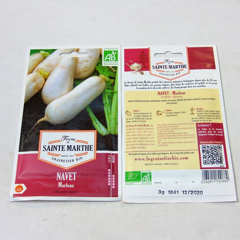 Example of Organic Turnip Marteau - Ferme de Sainte Marthe seeds per pack of 1400 seeds (3g) specimen as delivered