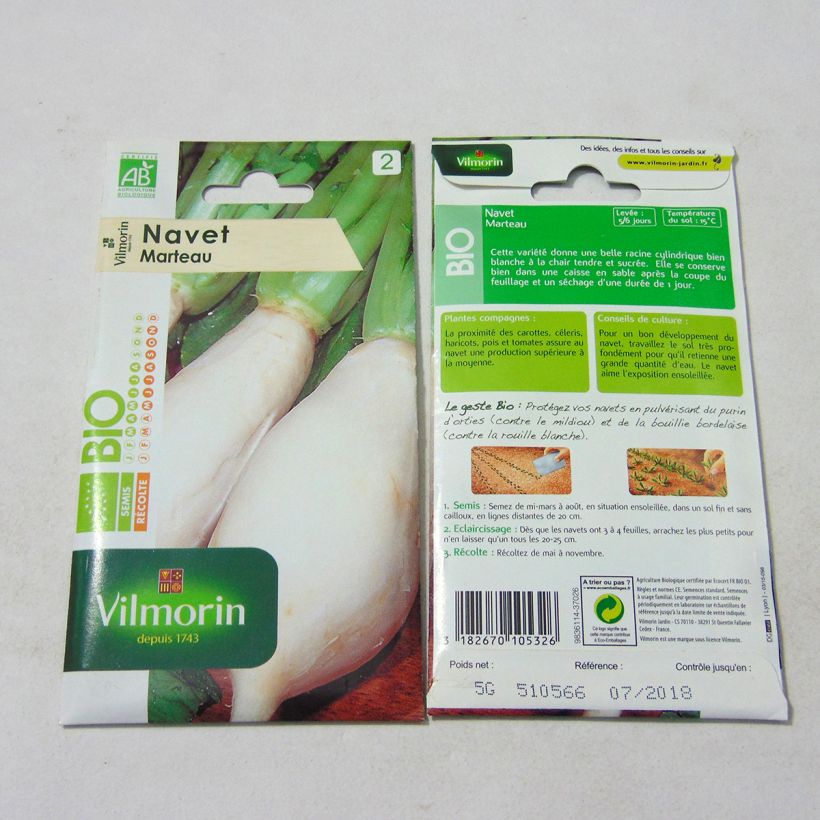 Example of Organic Turnip - Vilmorin seeds - Brassica rapa specimen as delivered
